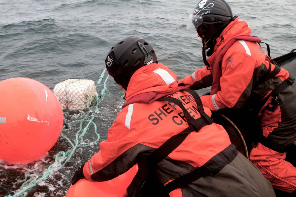 Crew recover the illegal longline