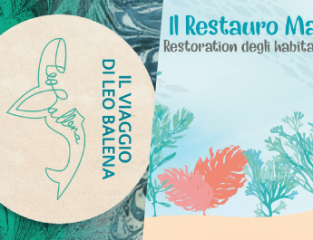 Le nuove pubblicazioni della Collana del Faro: “Il viaggio di Leo Balena” e “Il Restauro Marino: Restoration degli habitat marini”