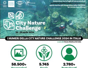 City Nature Challenge, la più grande iniziativa di citizen science raggiunge il record di 2,4 milioni di osservazioni di flora e fauna selvatica a livello mondiale