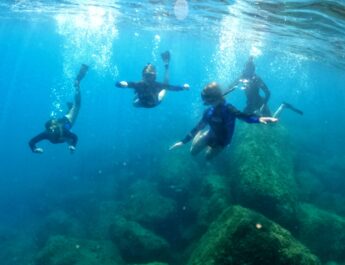 A Levanto arrivano le mattinate di snorkeling e “Bio-Blitz”