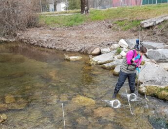 Microplastiche, Laghi e Fiumi – Quali sono gli impatti su questi ambienti? L’intervista a Federica Rotta, dottoranda di UniPV e SUPSI