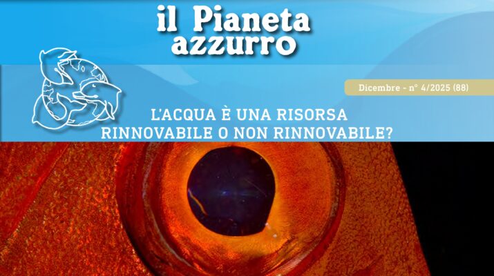 L’ACQUA È UNA RISORSA RINNOVABILE O NON RINNOVABILE? – n° 4/2025 (88)